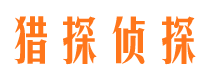 萨嘎市私人侦探